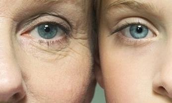 Adenosine Wrinkle improvement : According to the KFDA,Adenosine manages Wrinkle skin and improve damaged skin.