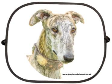 Standard greyhound 16" whippet/small