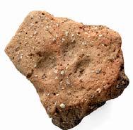 In particular there has been the notable discovery of the possible imprint of the paw of a small animal on a sherd of Early Iron Age pottery (700 400 BC).