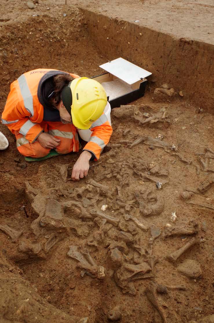 A previously unknown Neolithic monument is discovered near Datchet 5 Pottery and animal bone (the remains of a feast?