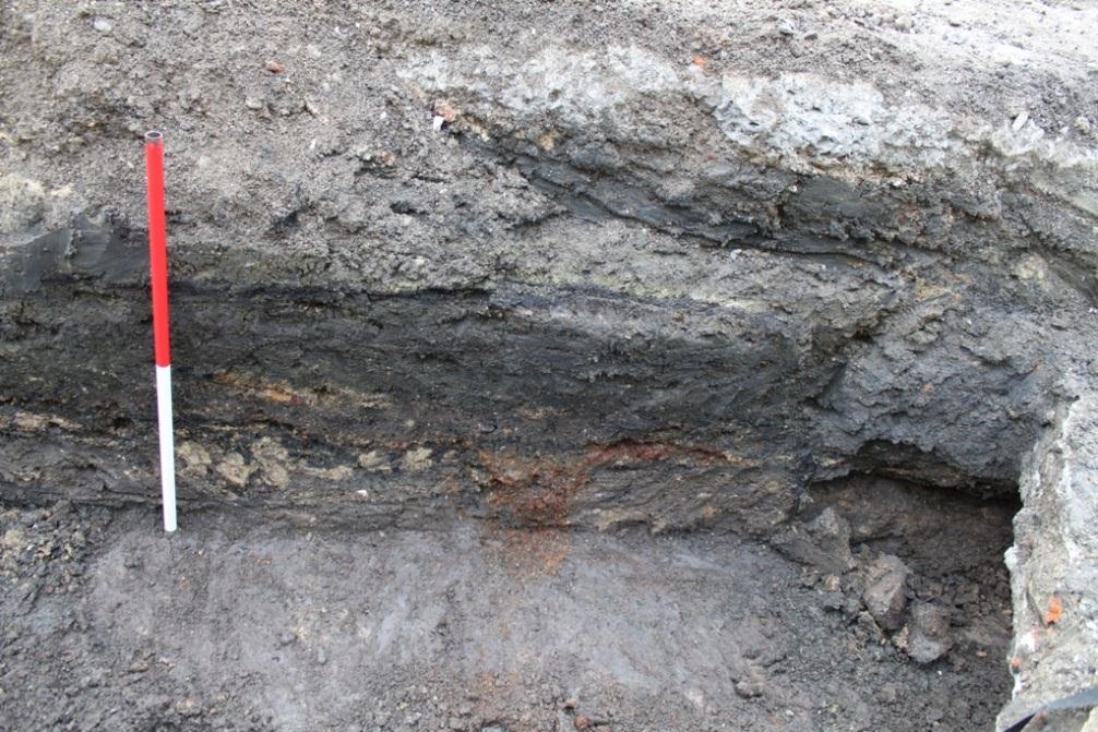this location accidentally. One of the deposits consisted of a tightly compacted layer of animal bone, up to 5cm in thickness.