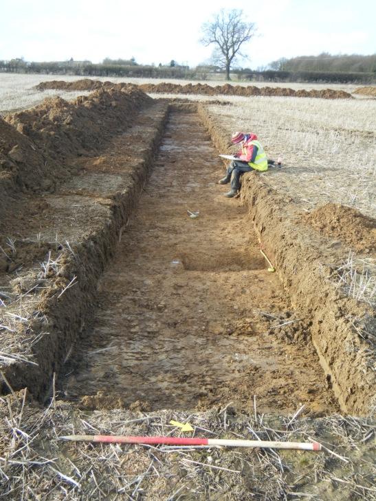 Archaeological trial-trenching evaluation on land west of Hams Farmhouse, Back Road, Trimley St Martin, Suffolk Fieldwork date: January 2014