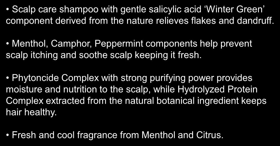 Scalp care shampoo with gentle salicylic acid Winter Green component derived from the