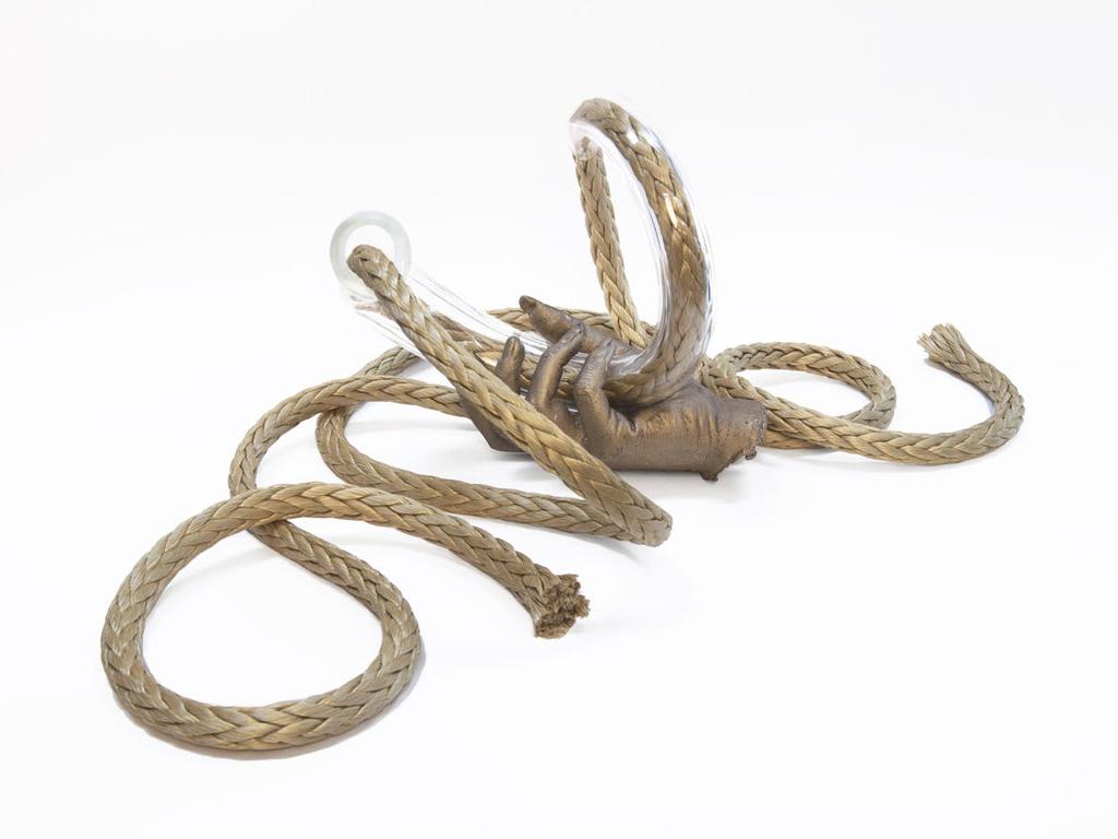 Life Forms Bronze, blown glass, rope Installation dimensions variable with glass