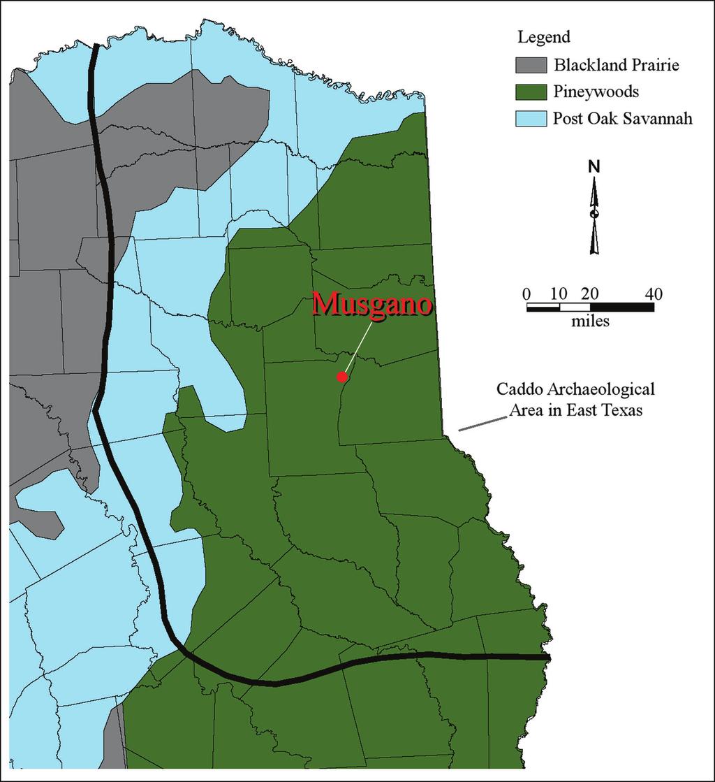 The Caddo Archaeology of the Musgano Site (41RK19) in the Sabine River Basin of East Texas 1 Introduction The Musgano site (41RK19) is an important ancestral Caddo habitation site on Martin Creek in