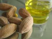 Desert Date Oil (INCI : Balanites roxburghii seed oil) A precious oil stemming from a