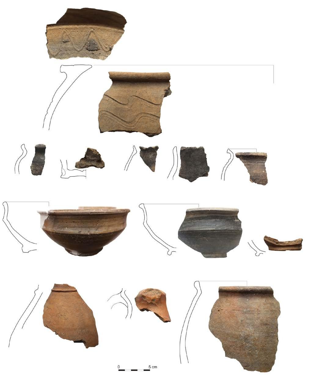 On the basis of the Șumuleu Ciuc excavation, we can establish with certainty that at least two types of houses were in use during this period (Fig. 2).