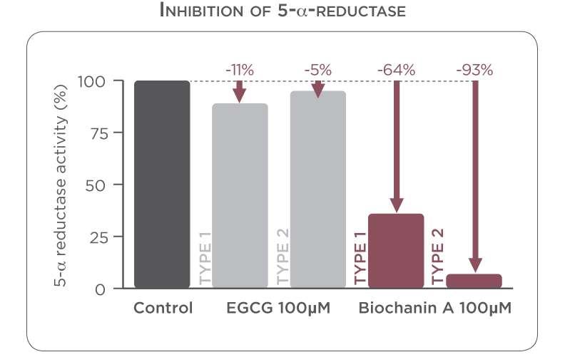 Effect of Biochanin A on 5-a reductase activity Biochanin A inhibits 5-a reductase