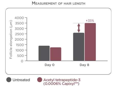 Ex vivo: Acetyl tetrapeptide-3 & Hair growth Acetyl tetrapeptide-3 improves by 35% the
