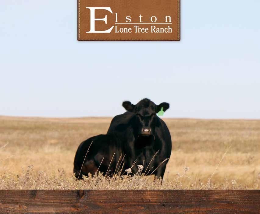 Elston Lone Tree Ranch 10111 30th St SE Spiritwood, ND 58481 Wesley & Michele Elston 10111 30th St SE Spiritwood, ND 58481 Email: