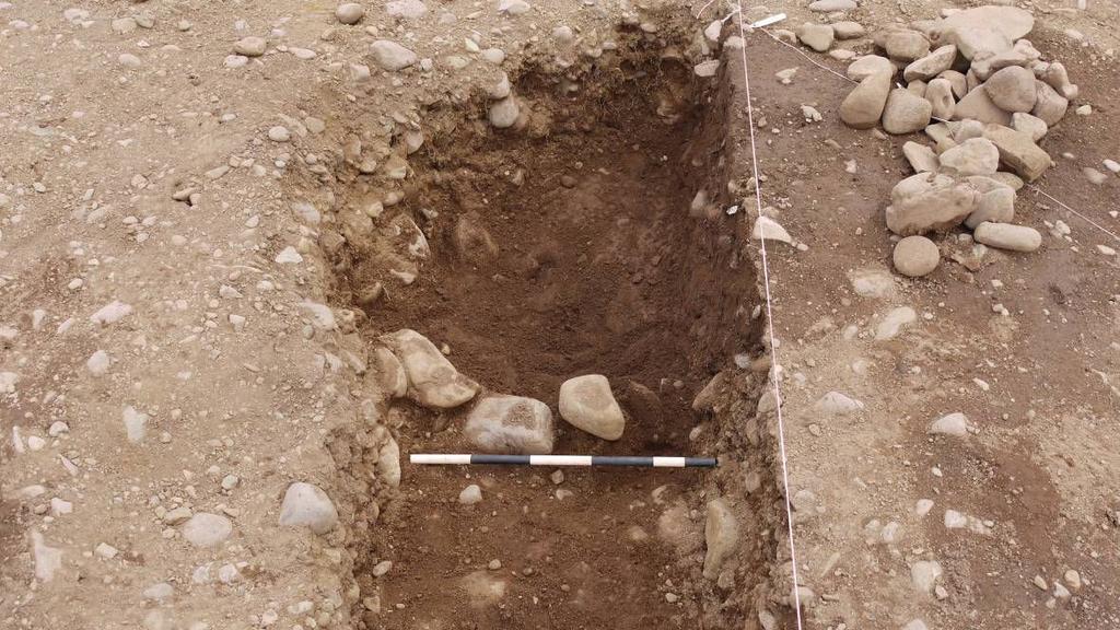 Figure 8: (5519) packing stones Posthole [5592] was a very difficult feature to define and excavate, in part due to the posthole apparently cutting an earlier feature that had not been identified in