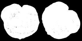 Ovalni olovni pečat u obliku kalote na kojoj se nalazi kanal za vrpcu Avers: Poprsja dva cara, okrenuta jedno prema drugom; nose