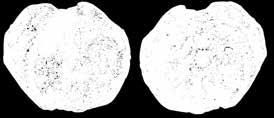 Ovalni olovni pečat u obliku pločice na kojoj se nalazi kanal za vrpcu Avers: Dva poprsja, cara levo i carice?