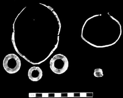 ISSN 2347 5463 Heritage: Journal of Multidisciplinary Studies in Archaeology 4: 2016 Figure 5: Necklace from Junapuri