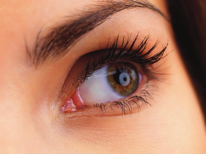 Enhance your Eyes Eye Lash Tint* 8.00 Eye Brow Tint* 5.00 Eye Lash & Eye Brow Tint* 11.00 Weekend Lashes 15.