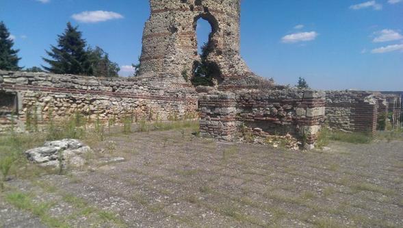 The Vidin archaeological association responsible for the region has locked the site to prevent damage, but