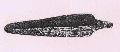 169 Plate 3.10 Copper Spearhead from Sarthauli Some spearheads details are given here in the following table. S. No. Weapon Find Spot & State 1. Spearhead Shahabad 2. Spearhead Shahabad 3.