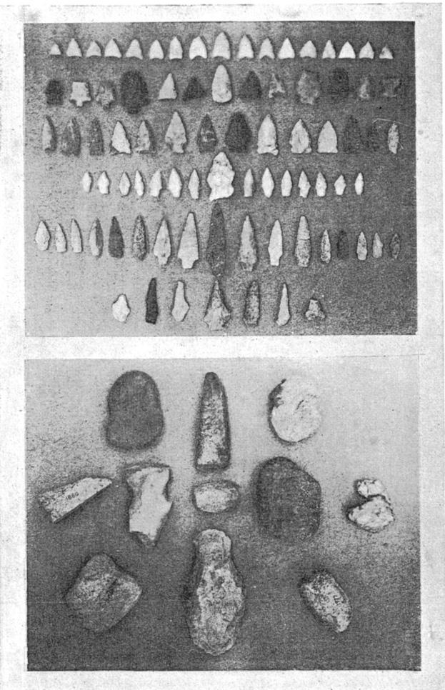 I PLATE 11 Artifacts from