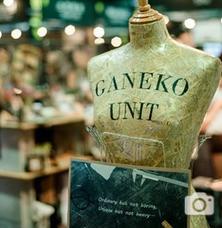 Marketing Strategy GANEKO UNIT Website: (http://www.ganekounit.