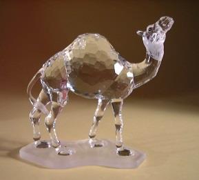 Stocker Product Category Animals Product Name Camel