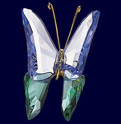 Name Object Butterfly Acadia, sapphire