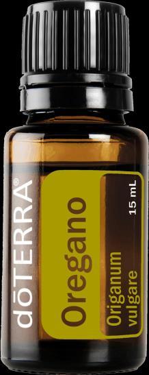 OREGANO WARNING: Be very careful with Oregano essential oil as it is a very hot oil and one drop is usually enough. Make sure you dilute it with Fractionated Coconut oil or another carrier oil 1.