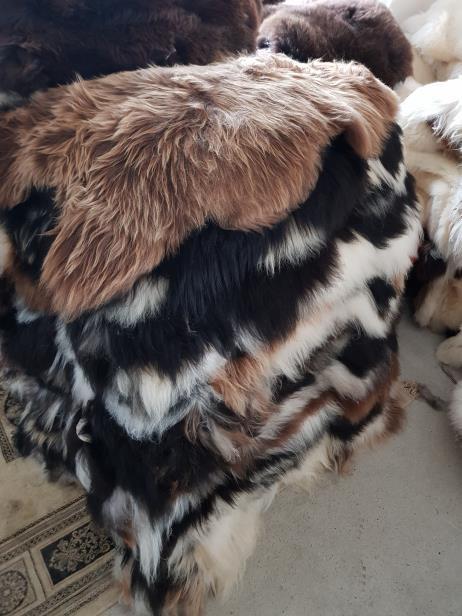 11.Icelandic sheepskins Mouflon : With straight or curly wool These are some of the most beautiful skins dyed with high quality tanning agents, which give the wool its characteristic