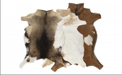 14. Decorative goatskin rug : All our GOATSKINS are imported from Holland. We are proud of our reputation for putting the customer first in every area of our operations.