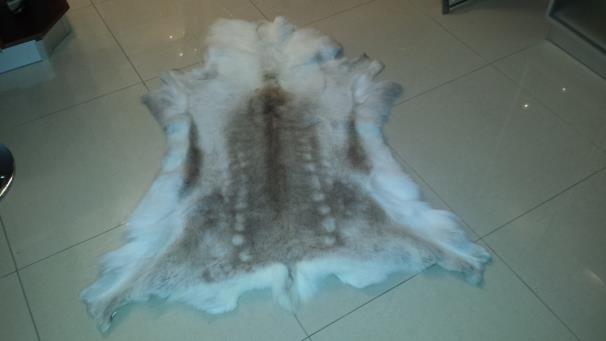 A reindeer hide is very delicate, we do not recommend using it as rugs on floors, as the hair may moult, however, it looks very