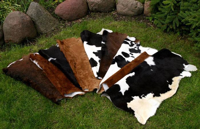 16.Decorative calfskins : Calfskins give special emphasis to any charming place.