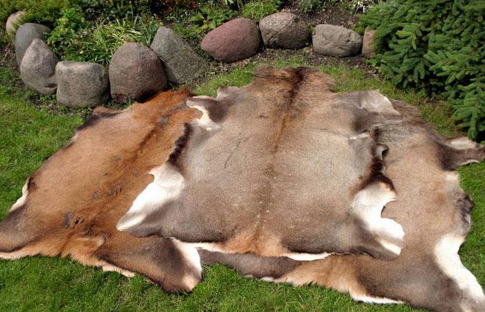 17.Decorative leather from deer : Deer skin