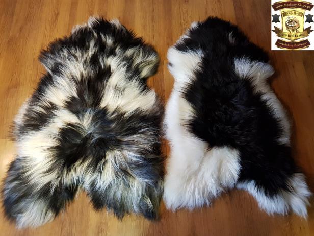 10.Icelandic multi coloured sheepskins : With straight or curly wool Decorative multi