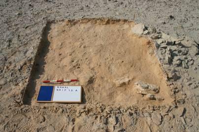 concentrations that stood out against the light-colored sandy soil of the area. Furthermore, no archeological finds or signs of activity were recovered at these sites.