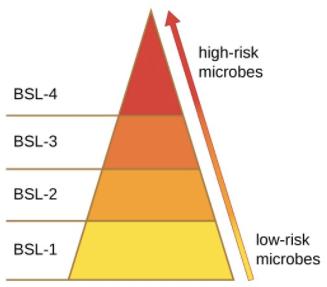 LABORATORY BIOSAFETY CONTAINMENT LEVEL Introduction Laboratory Biosafety Containment Level or often known as Bio Safety Level (BSL) is referred to the containment level of the laboratory setting