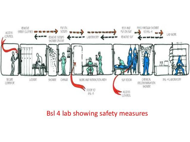 BIOSAFETY LEVEL 4 (BSL-4) PURPOSE The maximum containment laboratory that is designed for work with Risk Group 4