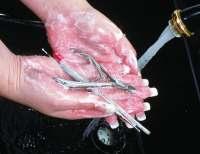 Implements include any tools used to perform the manicure service. Some are disposable while others need to be cleaned and disinfected between each client.