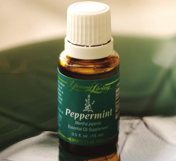peppermint Peppermint is one of the oldest and most highly-regarded herbs for soothing digestion.
