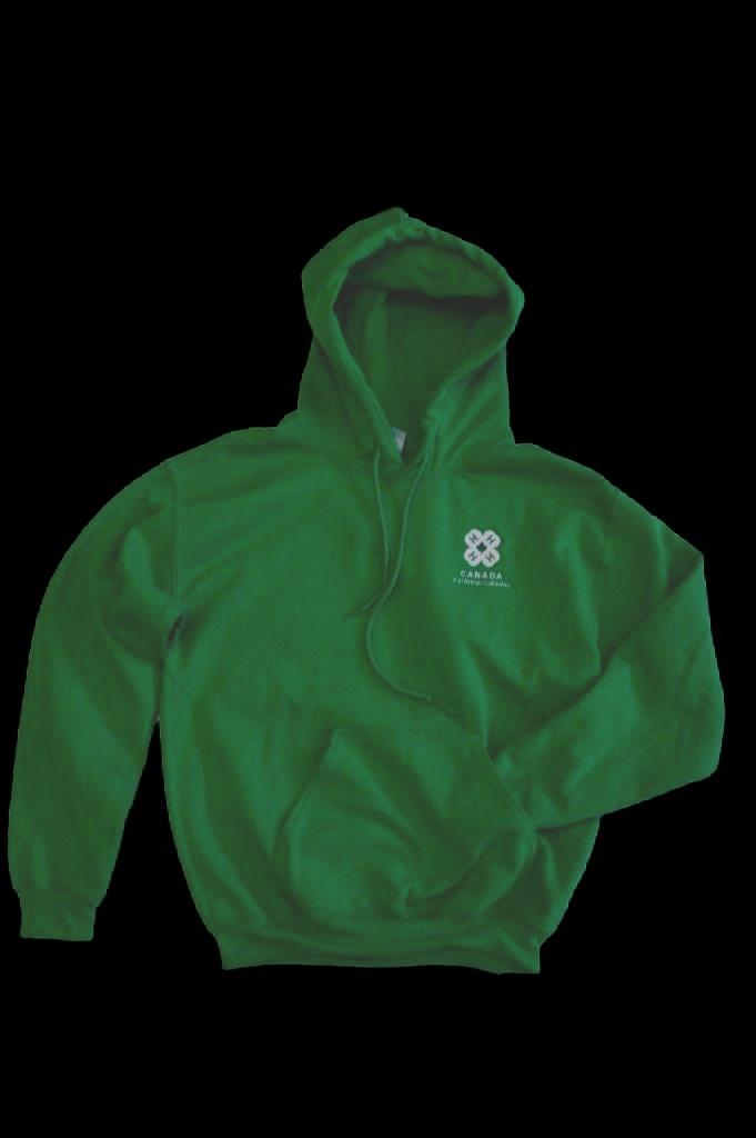 adult sizes PC96 - Hooded Tee $35.