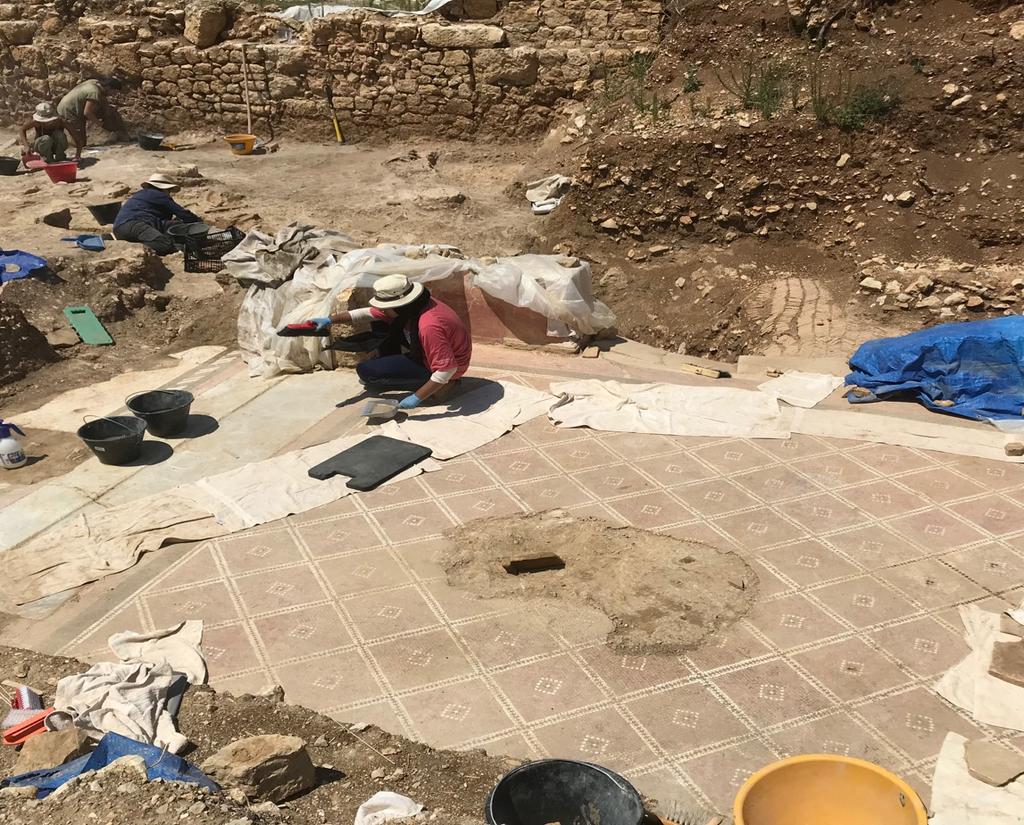 Ty Catello October 2018 Figure 2.2: Samra, my conservation partner, continues to washes the mosaic floor of the patio.