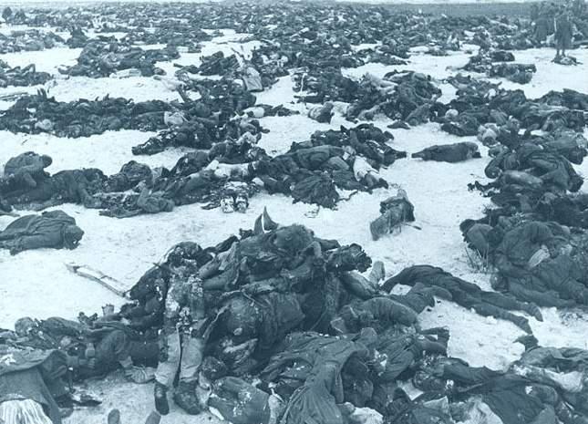 Dead Nazi soldiers after