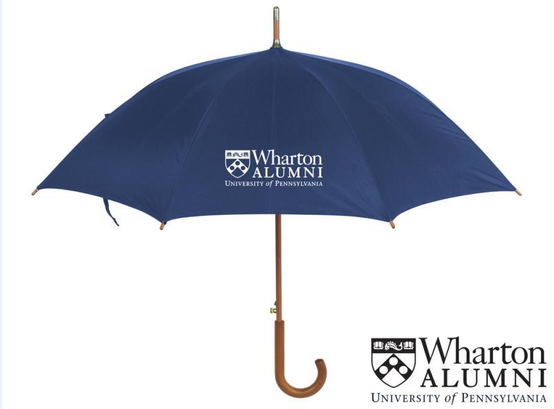 Umbrellas Revolution Non Vented Wind Resistant Automatic Folding Umbrella 42" arc, navy blue, auto open folding with matching rubberized handle.
