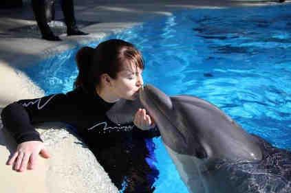 animals and an academic background in the animal-related field. Therefore, they can understand the dolphins and their behaviour well.