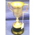 25. silver trophy cup with shaped handles, on