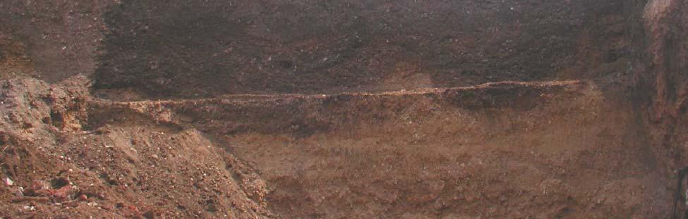 natural subsoil Figure 3: Exposed