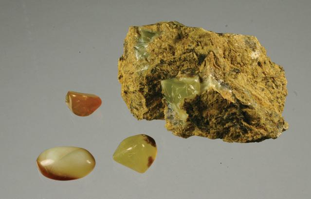 Figure 14. This new opal-ct comes from Argentina. The largest polished stone weighs 16.6 ct. Photo by B. Rondeau. Figure 15.