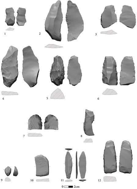 Scrapers (Fig. 101:1-10) Of the 11 side scrapers and four end scrapers recovered, several shared types were identified: five lightly retouched/chipped side scrapers and one end scraper (Fig.
