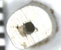 Cutting of the roll: Fig. 137a. A serrated blade may have been used to cut the bead from the roll; Figs. 137b and 137c.