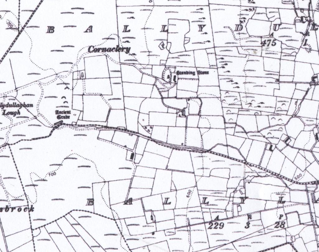 Figure 5: 2 nd edition 6 map (1908). This shows the standing stone as being on a rise as well as the track way that was visible in the 1858 being denuded (shown as dashed line arrowed). 2.4.