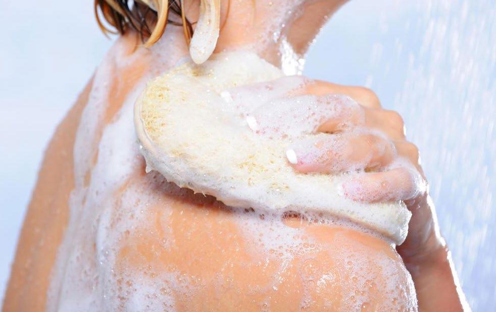 HANDS & SKIN Antiseptic Body Wash Hisept SeptiScrub(shampoo) Hisept BodyWash Antiseptic solutions based on Chlorhexidine Digluconate HiSept BodyWash and SeptiScrub (Shampoo) are chlorhexidine-based