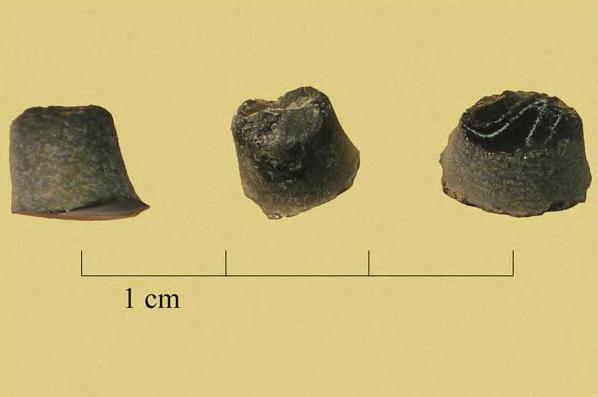 Figure 7g. Bezote fragments from the field 2 excavations.
